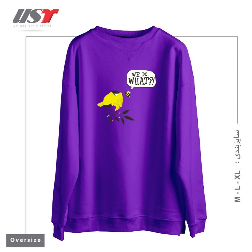 سوییشرت اورسایز طرح BIRDS & THE BEES