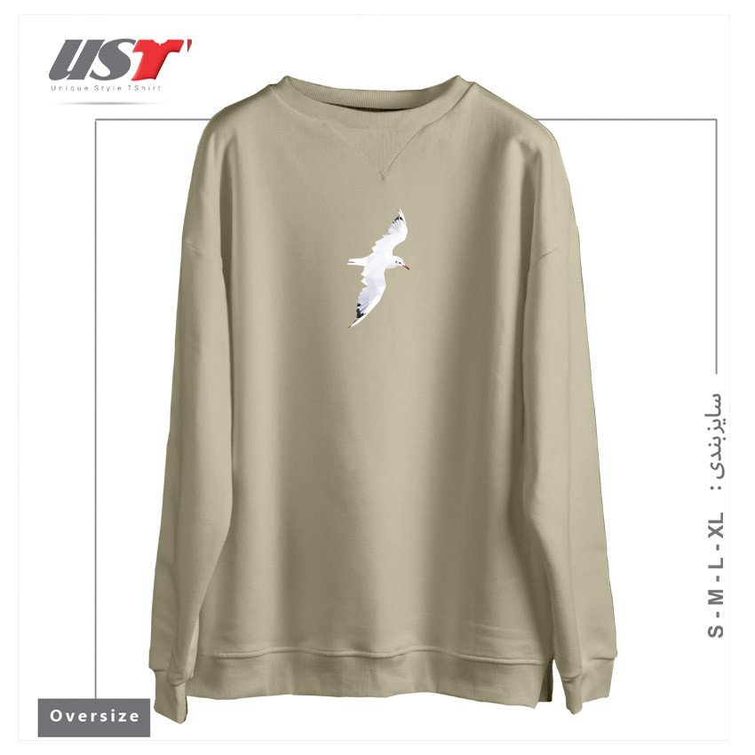 سوییشرت اورسایز طرح GEOMETRIC SEAGULLS