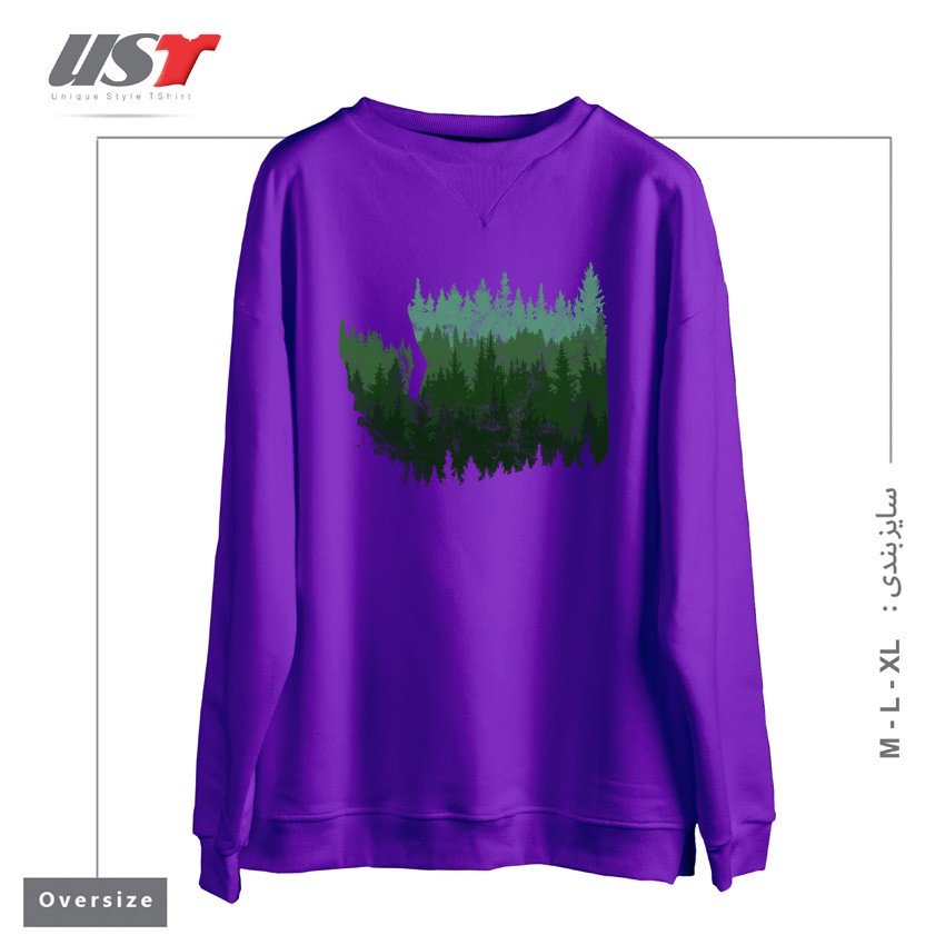 سوییشرت اورسایز طرح THE WASHINGTON ESCAPE