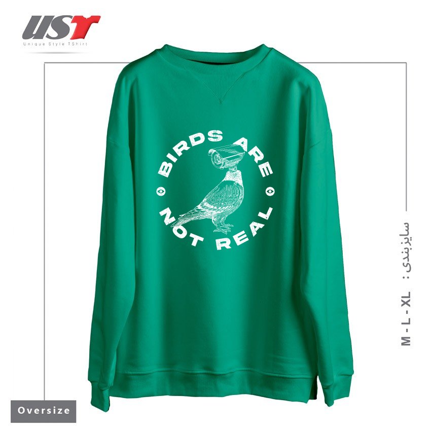 سوییشرت اورسایز طرح BIRDS ARE NOT REAL