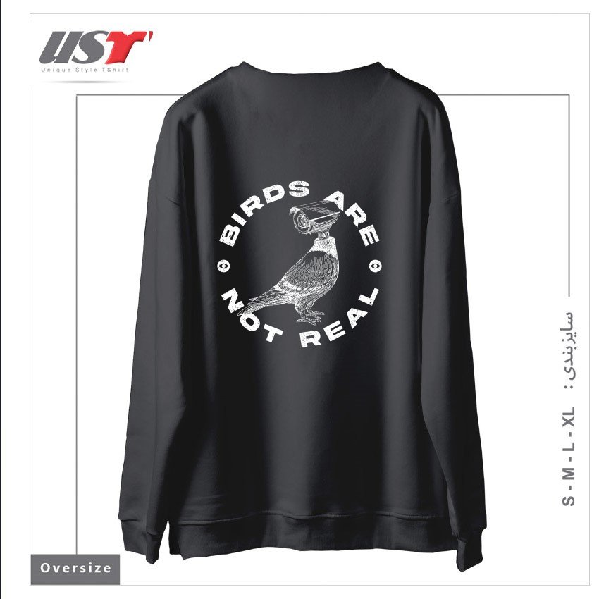 طرح BIRDS ARE NOT REAL سوییشرت اورسایزرنگ دودی